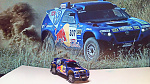 VW Race Touareg (17)