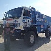   Gazelle852