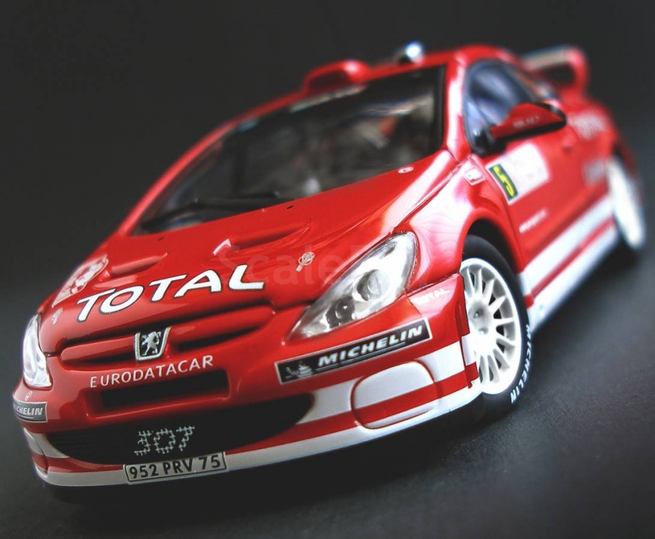 PEUGEOT 307 WRC,   2004 (Autoart)